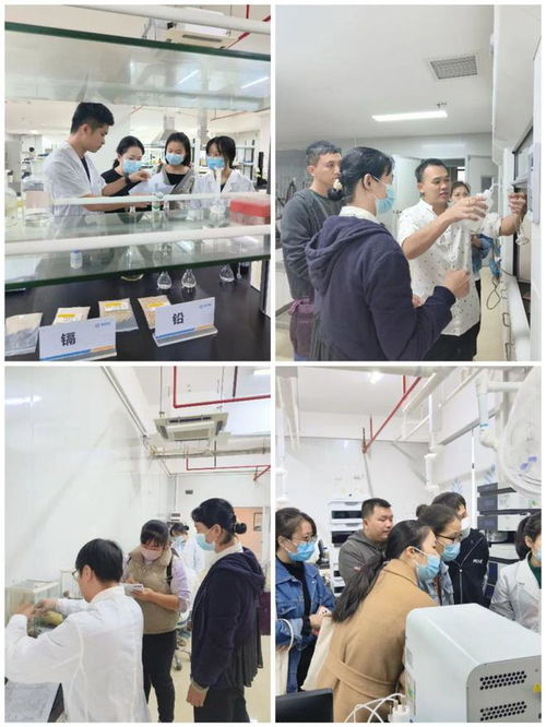 提升專業技能，守護食品安全——海南省食品安全協會成功舉辦2024年度食品檢驗員職業技能培訓班